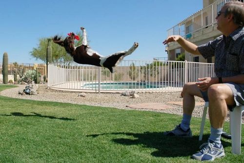 �������� �����