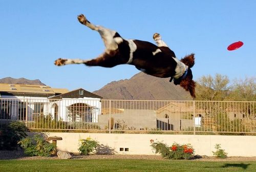 �������� �����