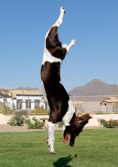 �������� �����