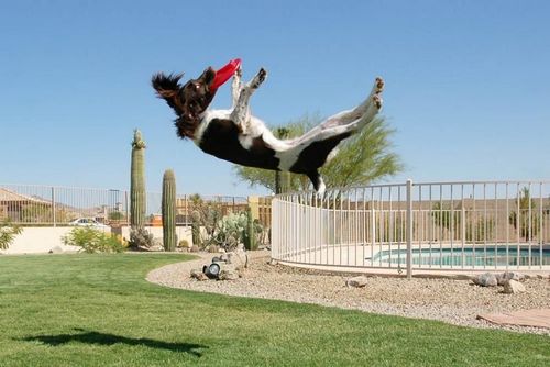 �������� �����