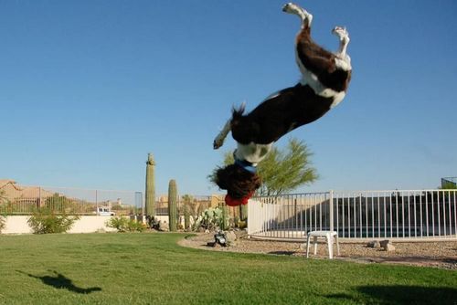 �������� �����