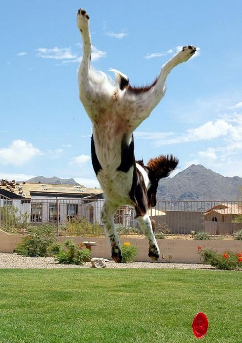 �������� �����