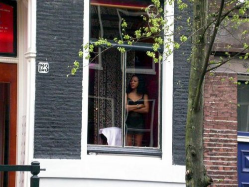 ������� ������� �������