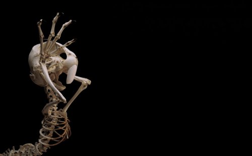 �������