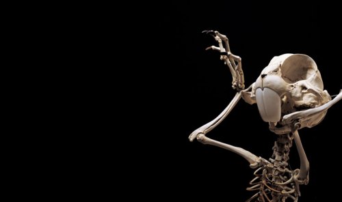 �������