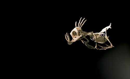 �������