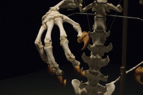 �������