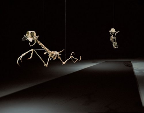 �������