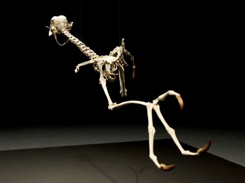 �������