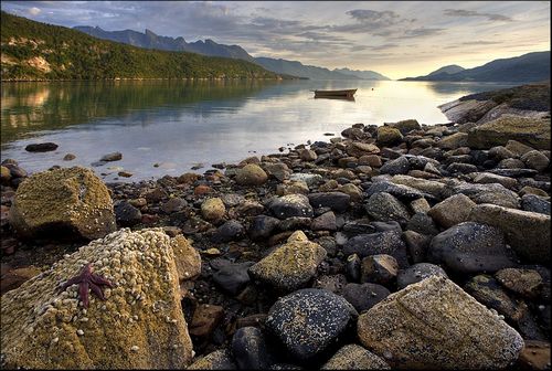 ����� ���������