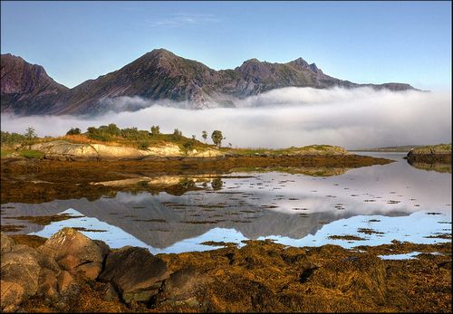 ����� ���������