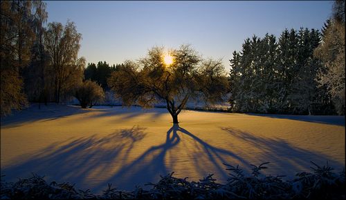 ����� ���������