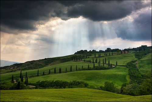 ����� ���������