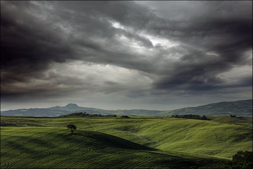 ����� ���������