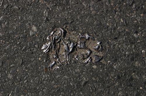 �������� � �������