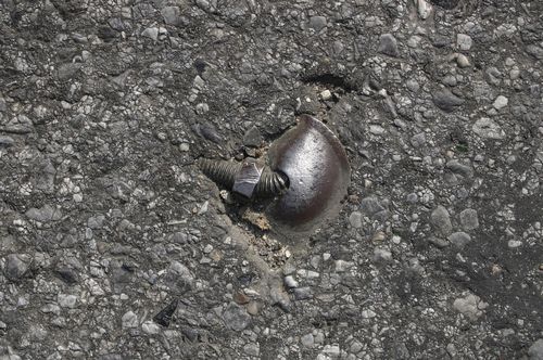 �������� � �������