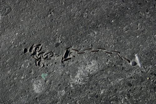 �������� � �������