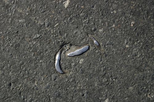 �������� � �������