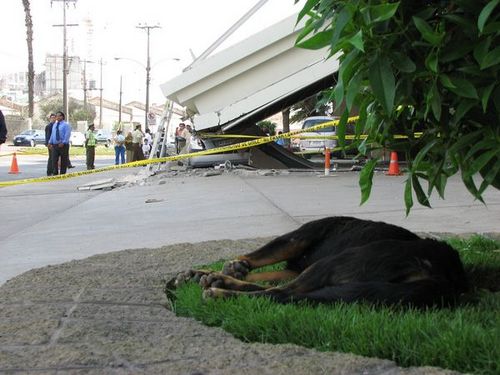 �� �������