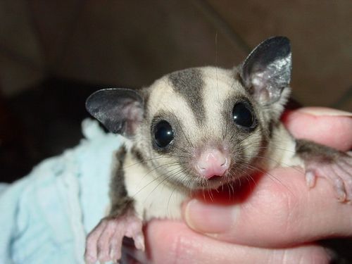 ��������