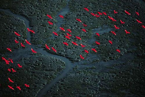 ��������