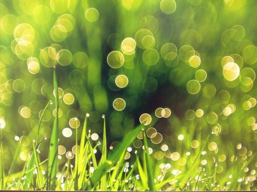 �������� �����