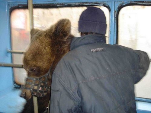 �������� �����