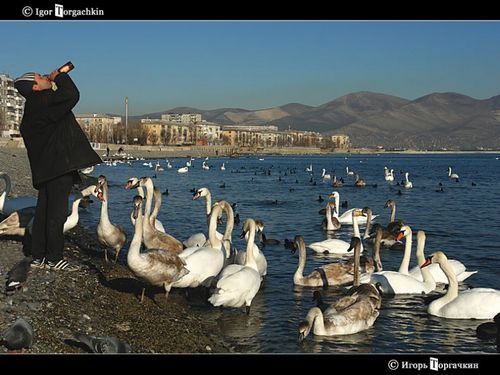 �������� �����