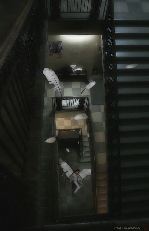 �������� �����