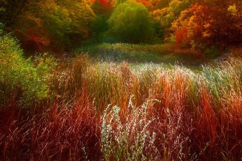 �������� �����