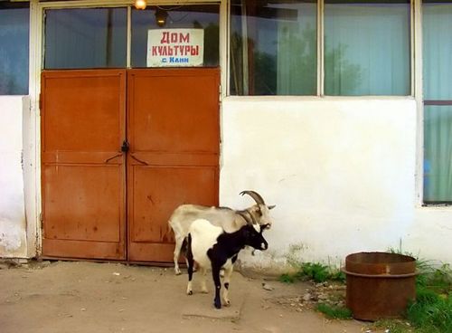 �������� �����