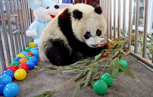 �������� �����