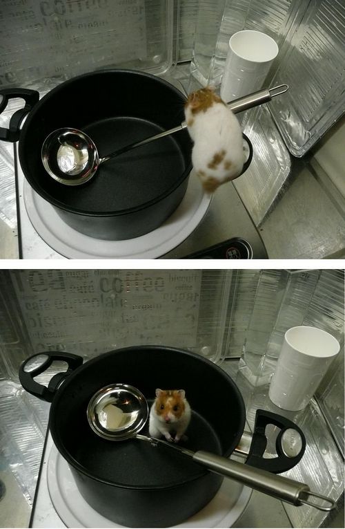 �������� �����