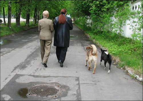 �������� �����