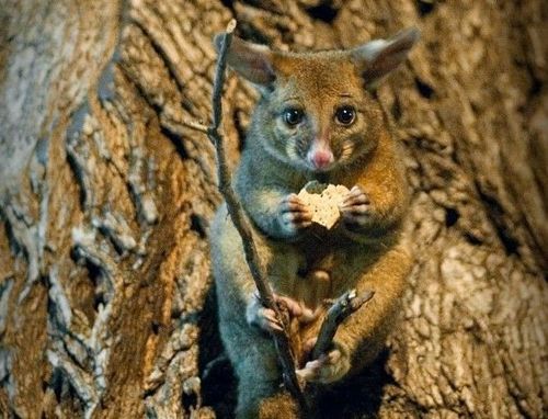 �������� �����