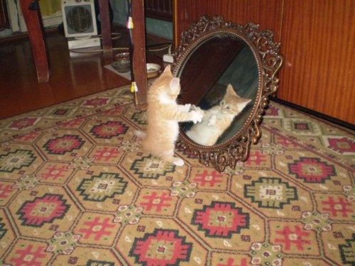 �������� �����