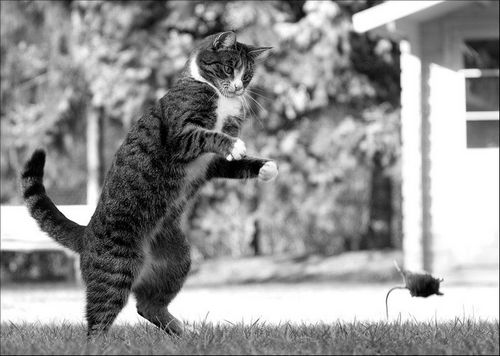 �������� �����