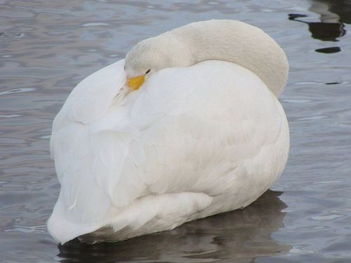 �������� �����