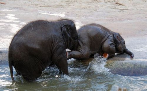 �������� �����