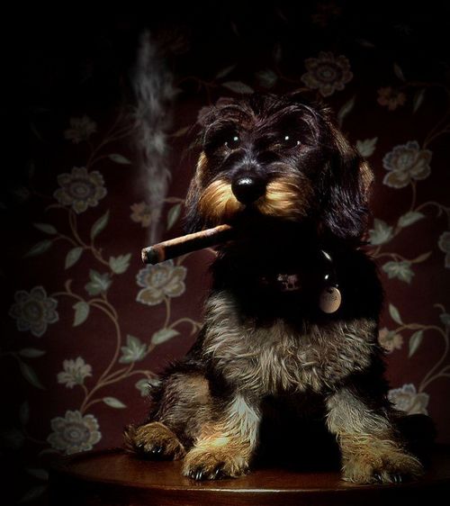 �������� �����