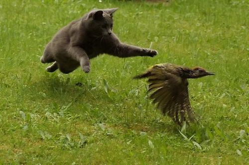 �������� �����