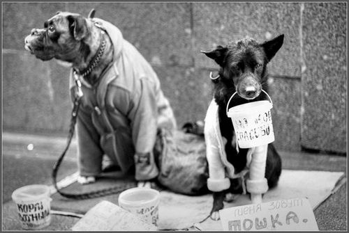 �������� �����