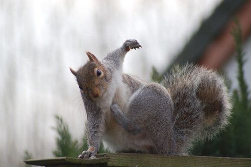 �������� �����