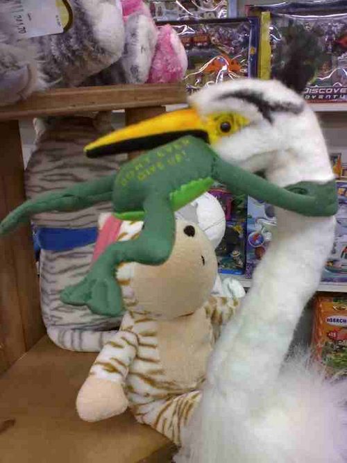 �������� �����