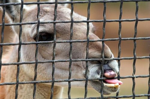 �������� �����