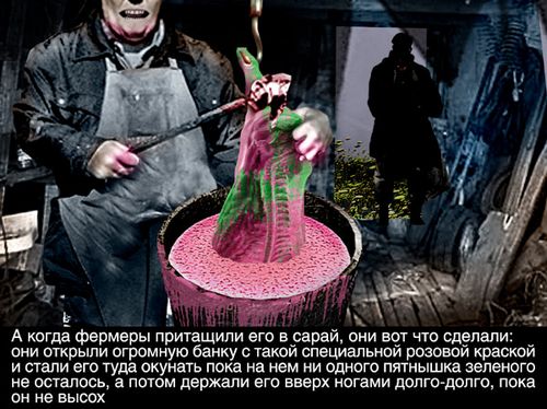 ������� ���������