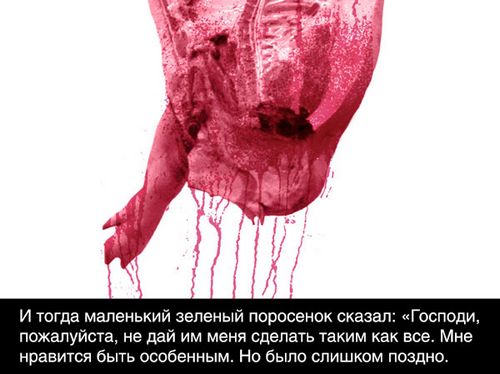 ������� ���������