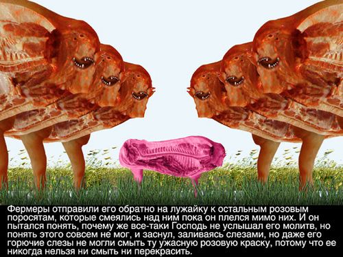 ������� ���������