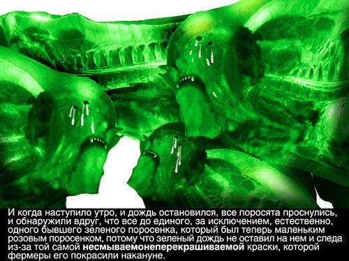 ������� ���������