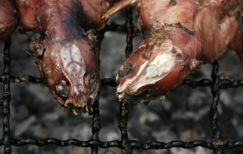 ����� �� ����